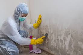 Best Mold Remediation for Healthcare Facilities  in Gautier, MS